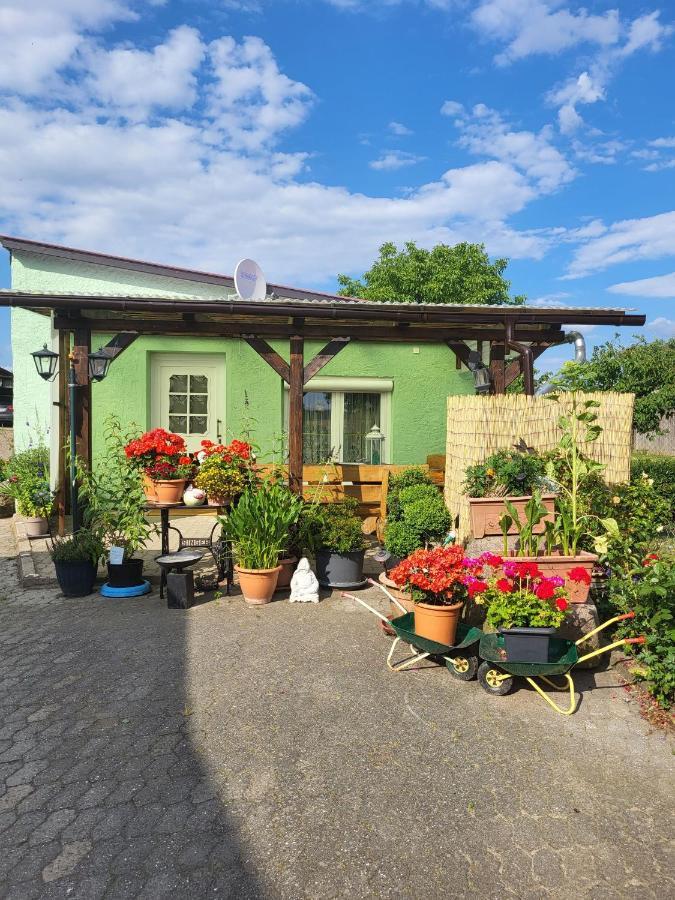 Ferienwohnung Bauerngarten Klein Vielen Exterior photo